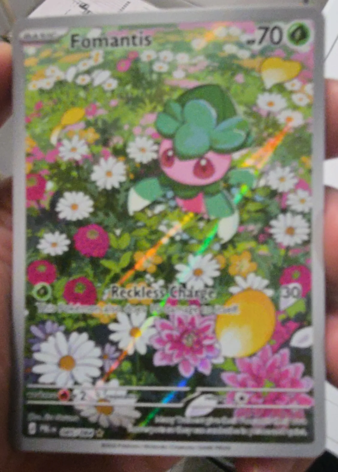 Fomantis [Reckless Charge]
